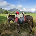 Ostapé 5*