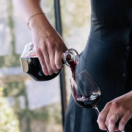 호텔 Ostape 비더레이