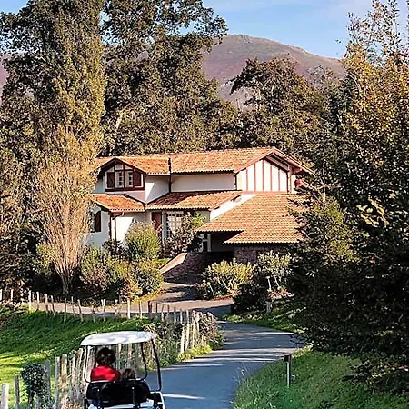 Ostape Hotell
