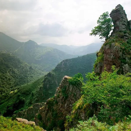 Ostape 호텔 비더레이