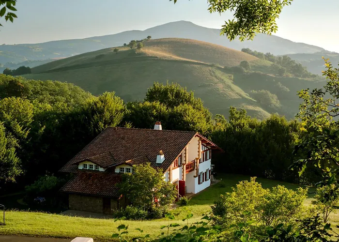 Ostape فندق بيداري