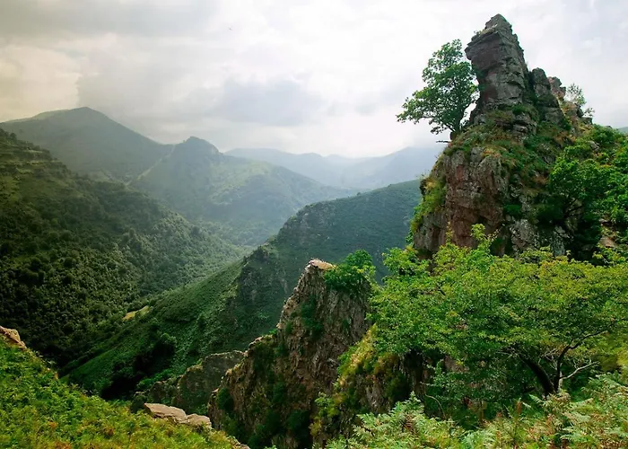 Ostape Otel Bidarray